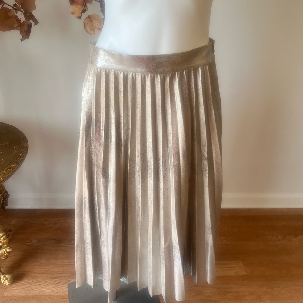 Zara pleated skirt brand new